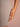 ENTERIZOSEAMLESSSHORTNUDE5.jpg